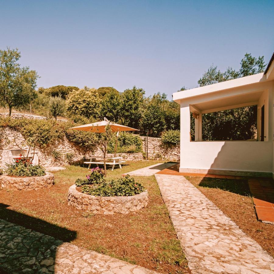 فيستَ Villaggio Eco-Sostenibile Cala Molinella المظهر الخارجي الصورة